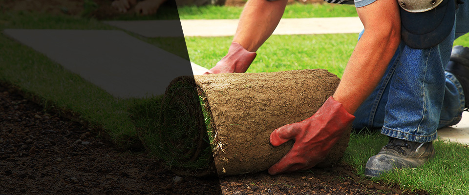 Sauquoit Landscapers